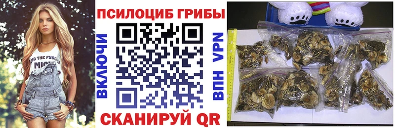 купить закладку  Железногорск-Илимский  сайты даркнета официальный сайт  Галлюциногенные грибы Psilocybine cubensis  мега сайт 