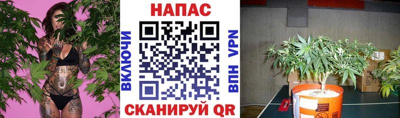 Марихуана White Widow Железногорск-Илимский